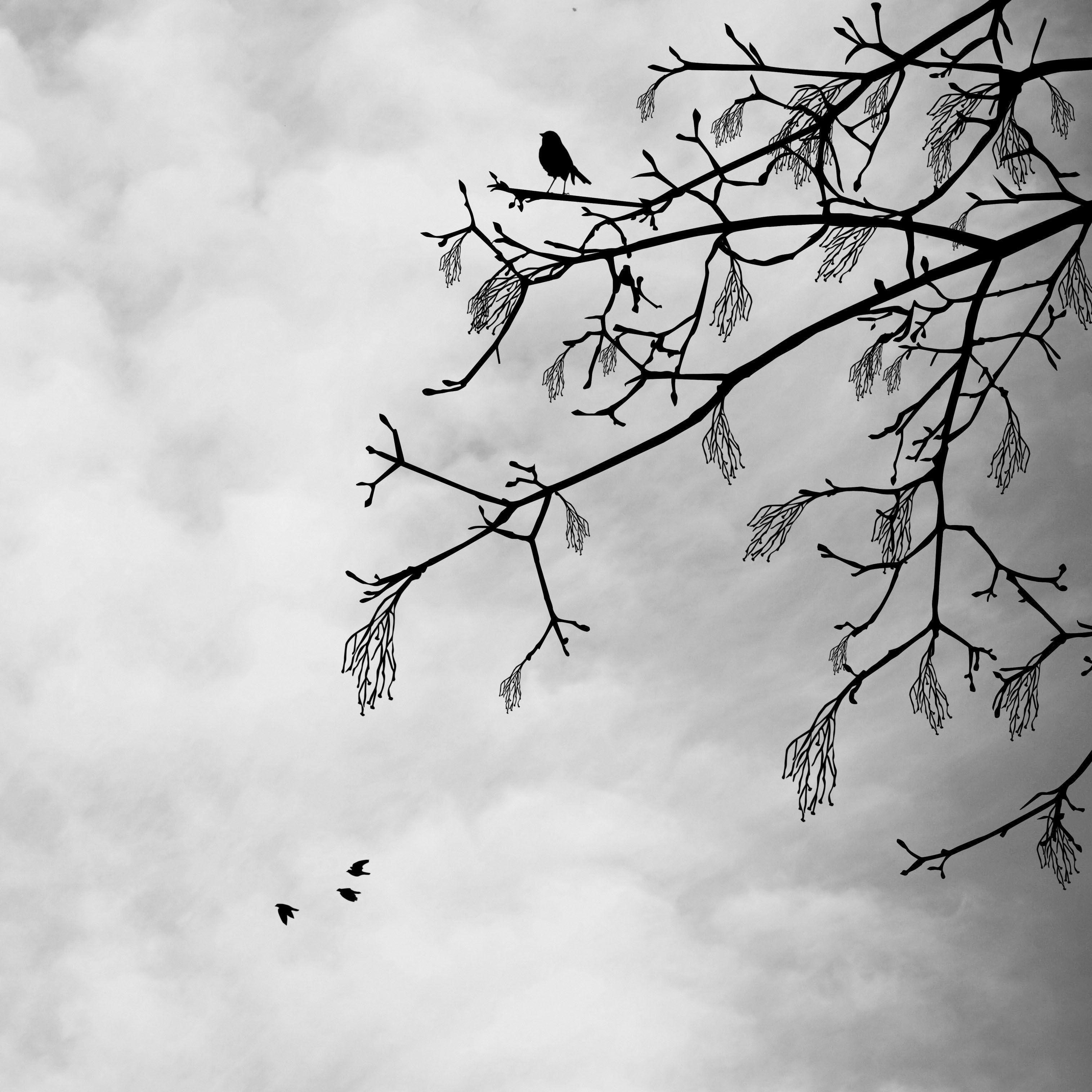 -__VaLar__- avatar