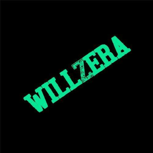 WilliZss avatar