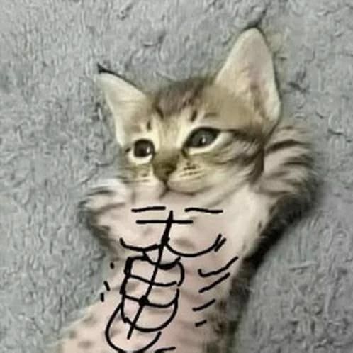 Mr_BUDDHA