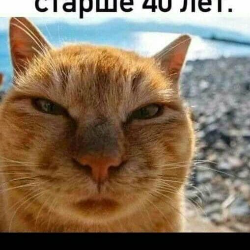 Velic0lepniy avatar
