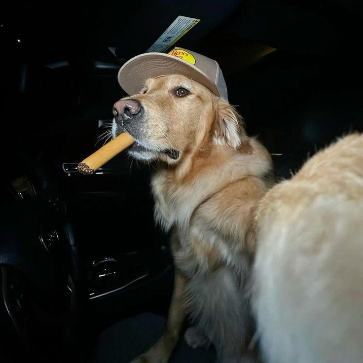 qqqqvick avatar