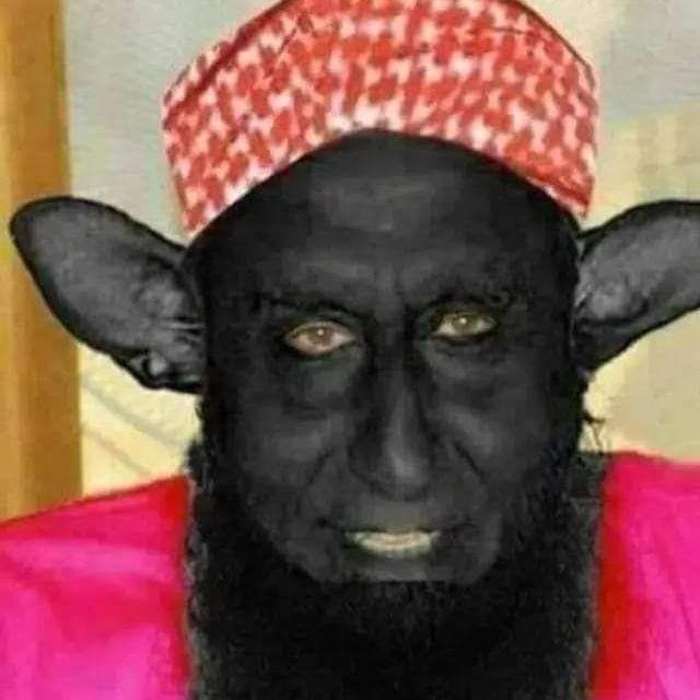 zaebalovse_ avatar