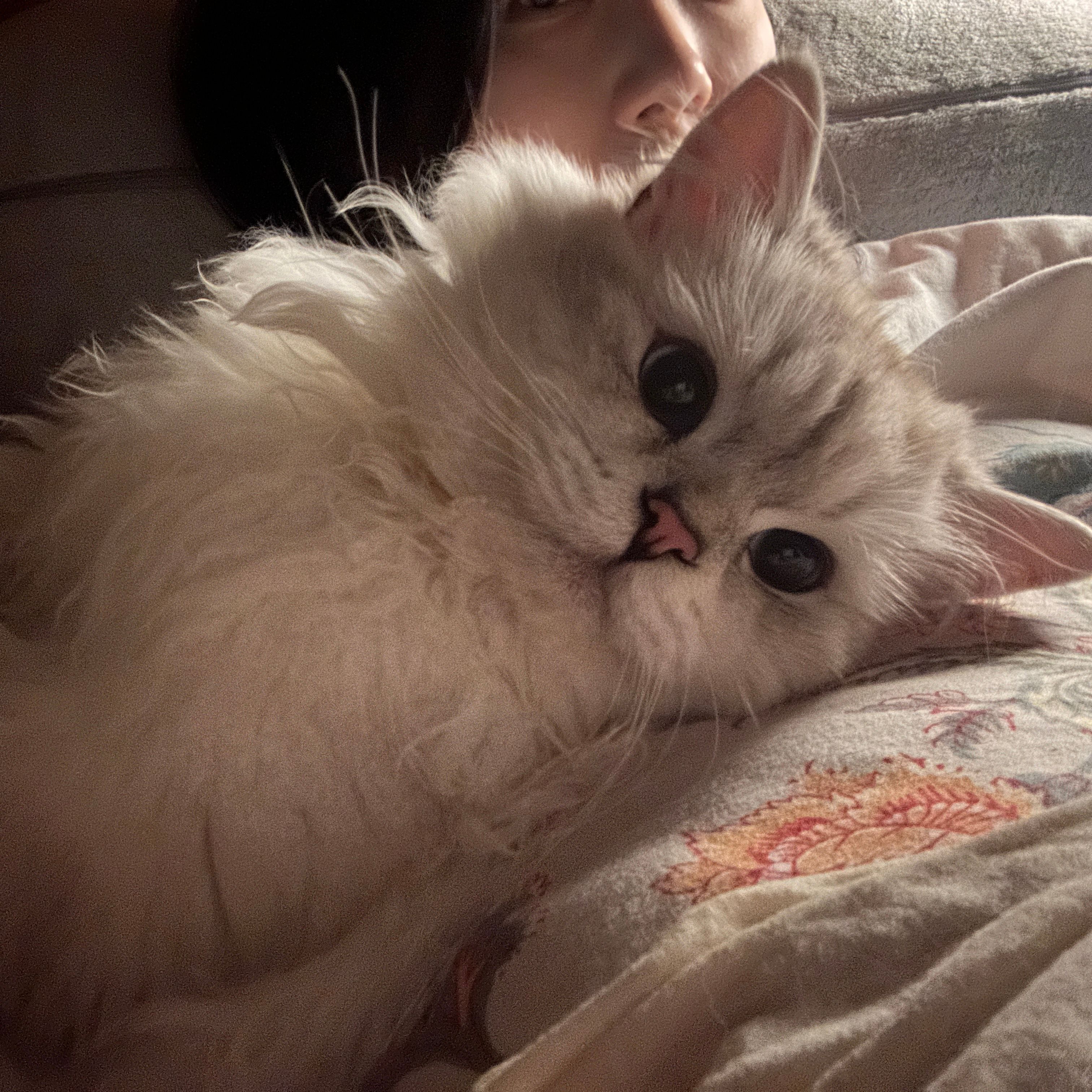 Hikovic