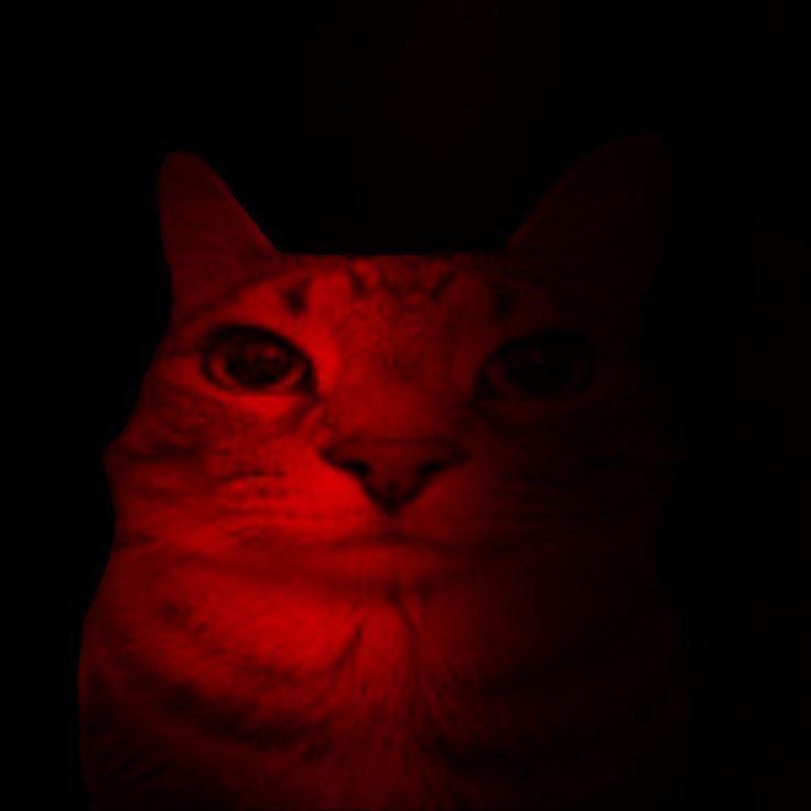 macke avatar