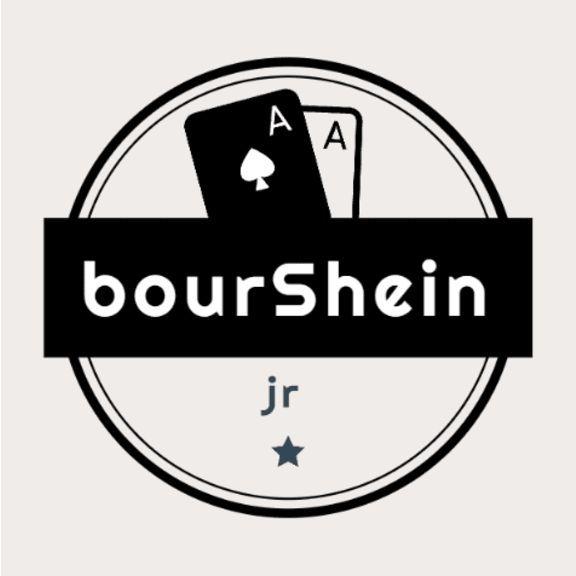 Player bourSheein avatar