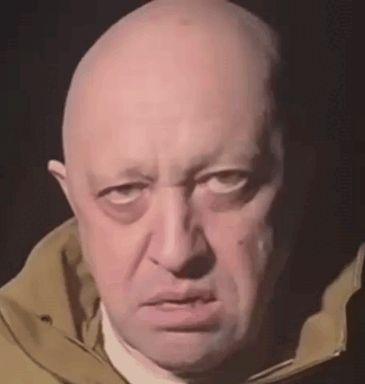 Popizdictor avatar