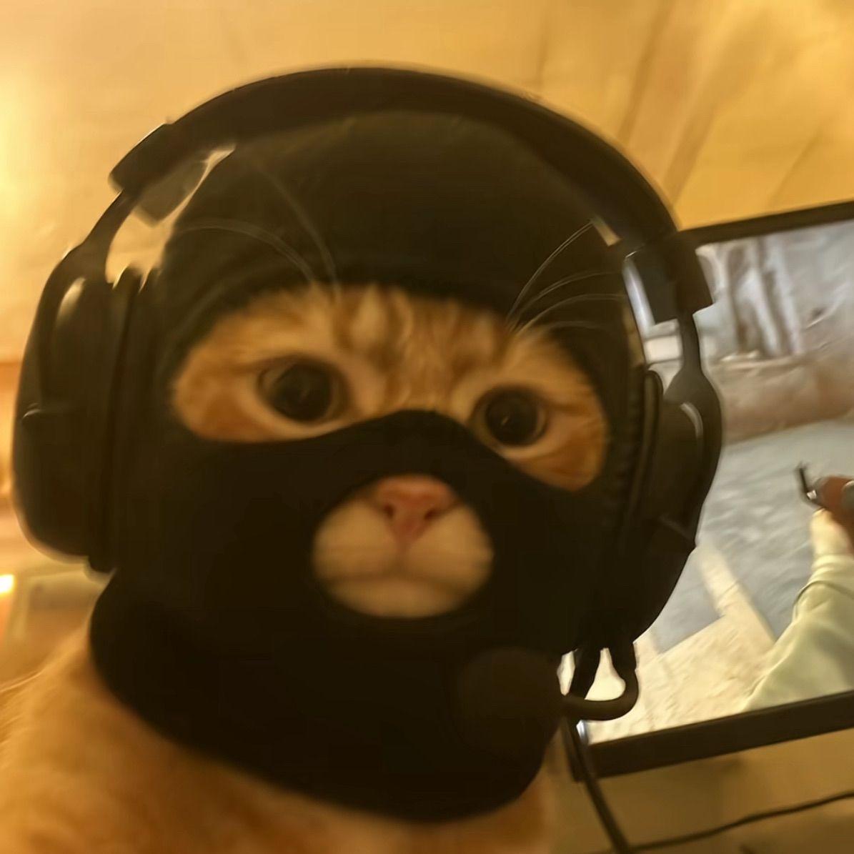 LOOsie1 avatar