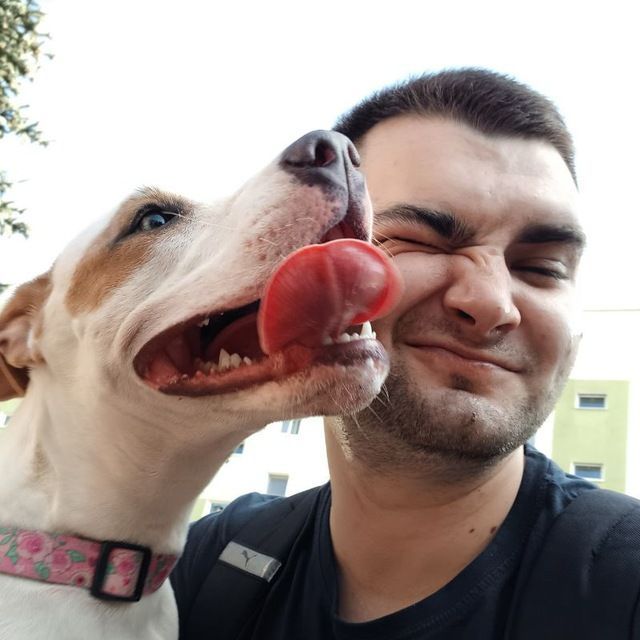 Stepanets30 avatar