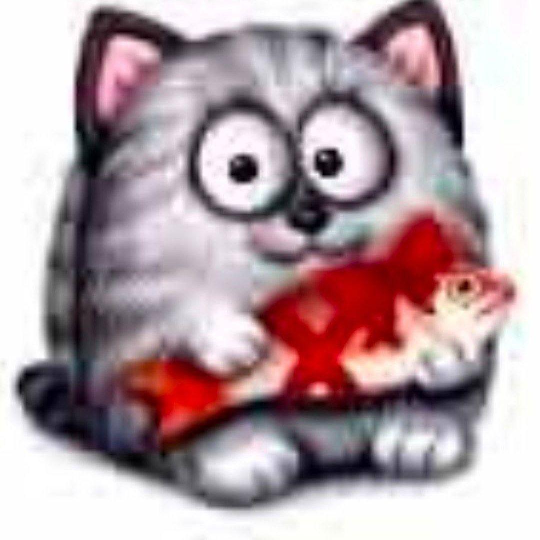 bobync avatar