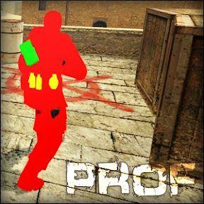 prof-2K