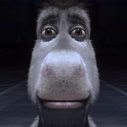 Arafesinho FACEIT avatar