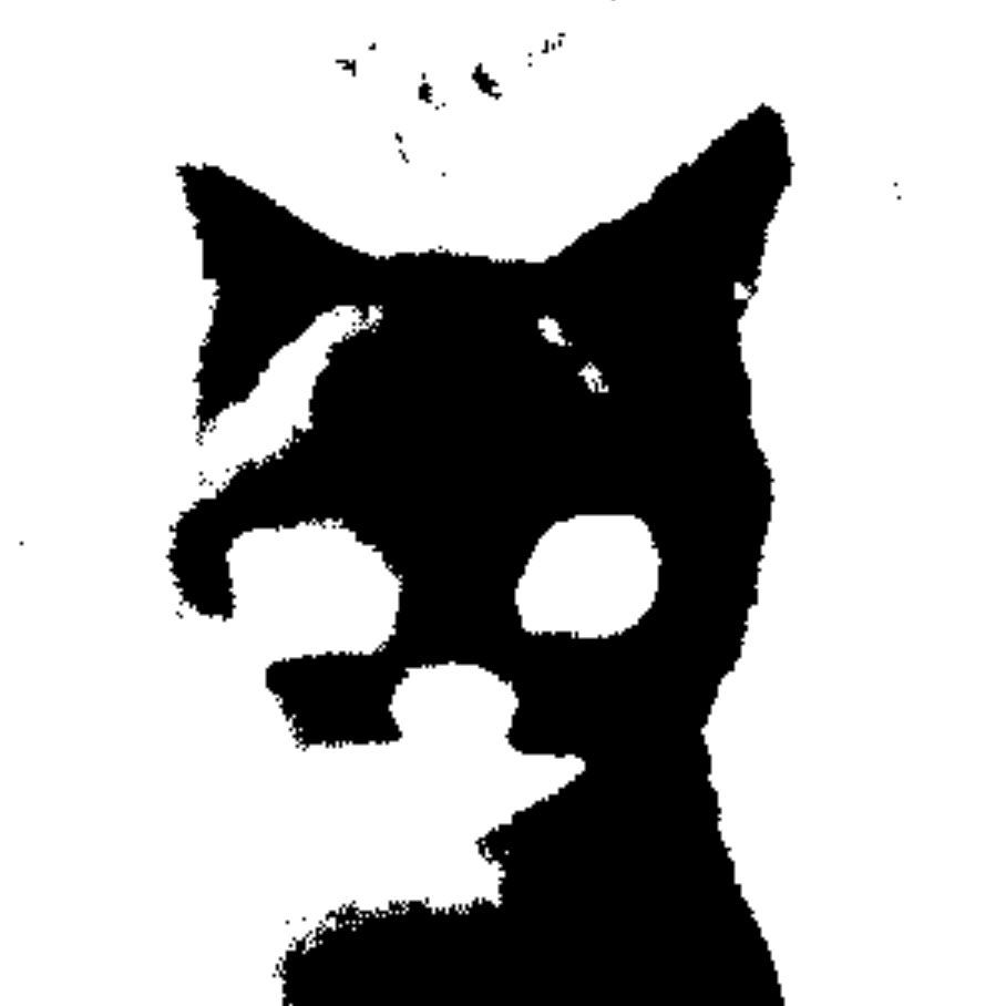 Freak_Pain avatar