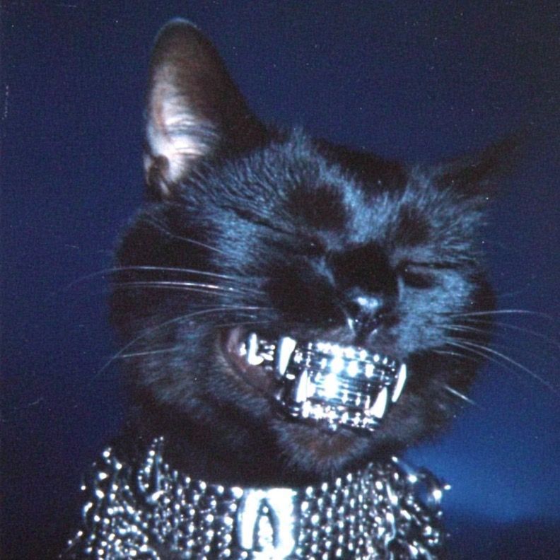 smrrrjj