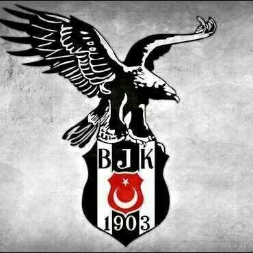 1903_eagLe