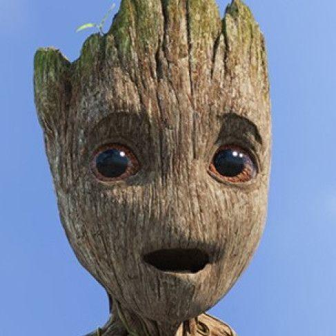 GreenGroot avatar