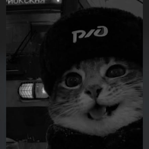 el1pweS