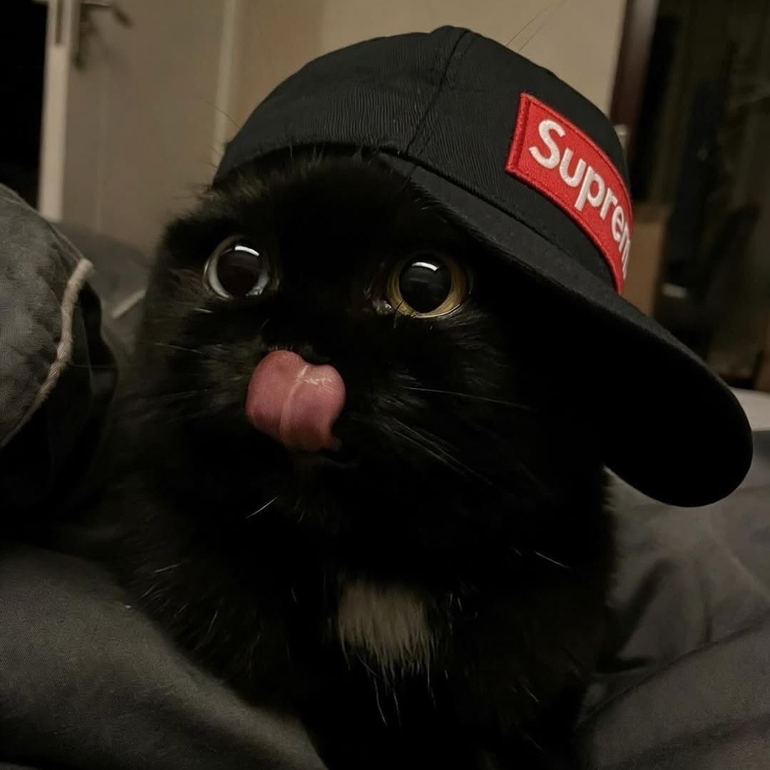 Ehwakdddd FACEIT avatar