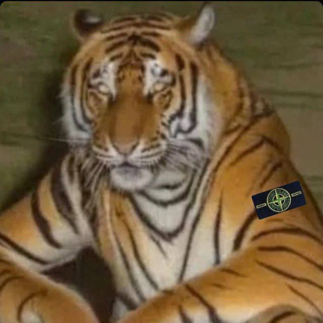 wavesformod