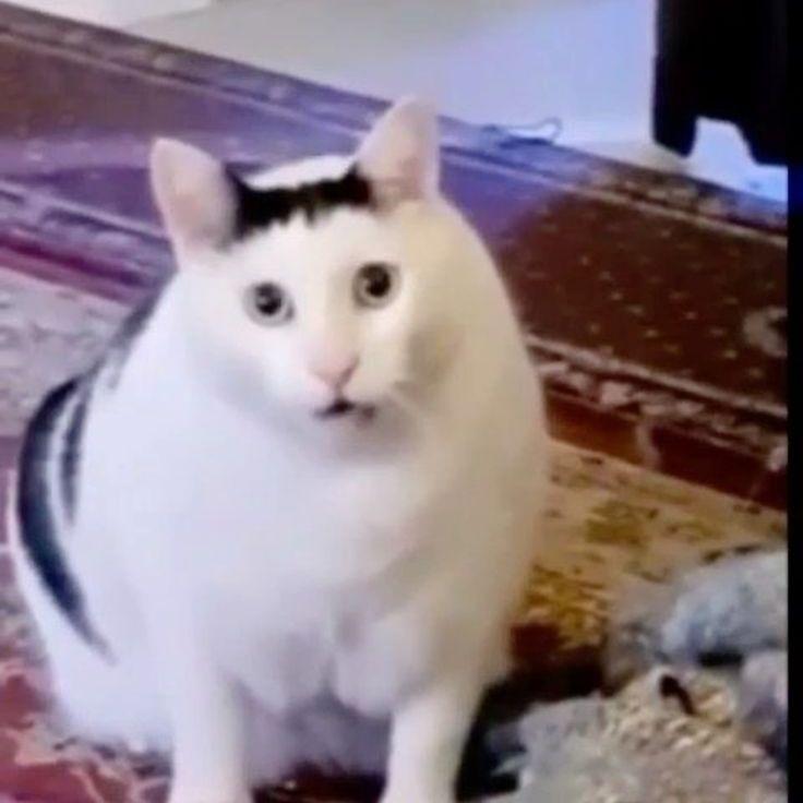 P0RRSKADAD avatar