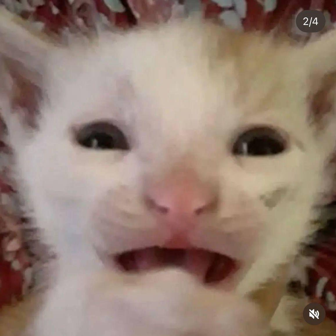 GENA2GUZLIK avatar