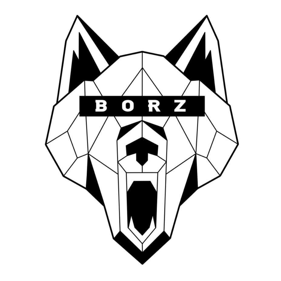 Player BorzOoi avatar