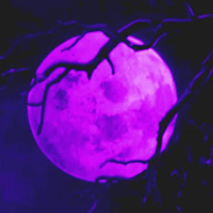 Byksya avatar