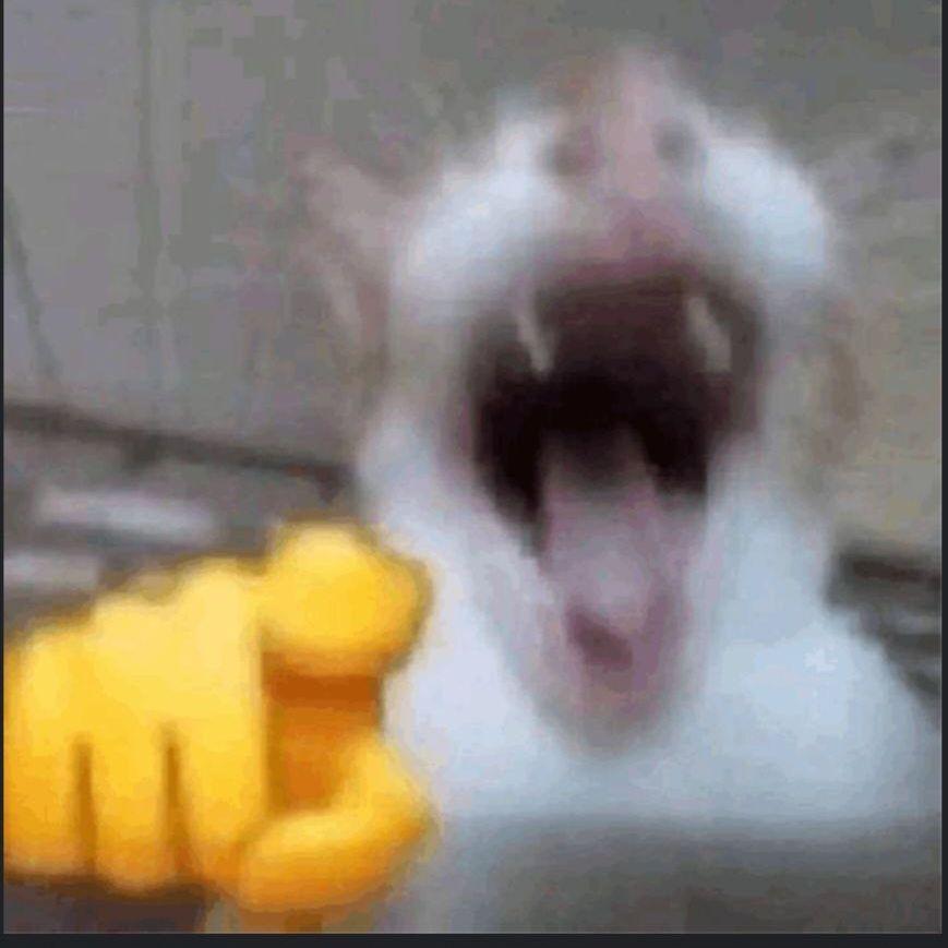 Lex0_0_0 avatar