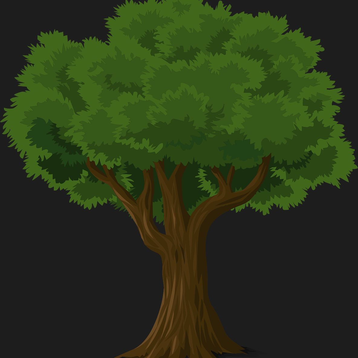 TreeOtree avatar