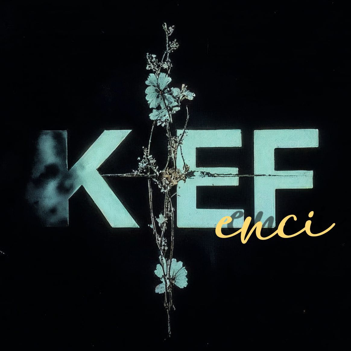 KEF_