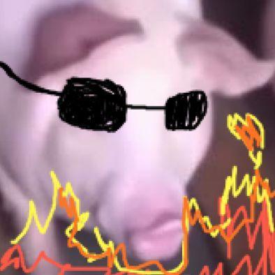 Oink6666 avatar