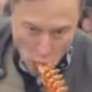 koojma avatar