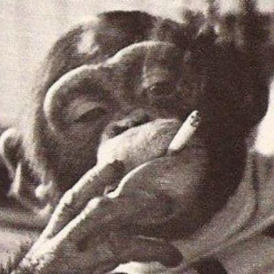 Rivole avatar