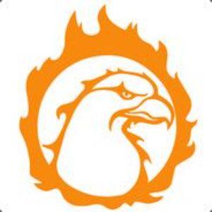 Odense Esport