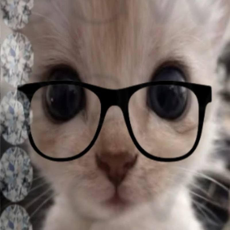 kotik6000 FACEIT avatar