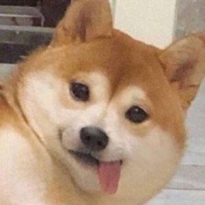 Amfiloza avatar