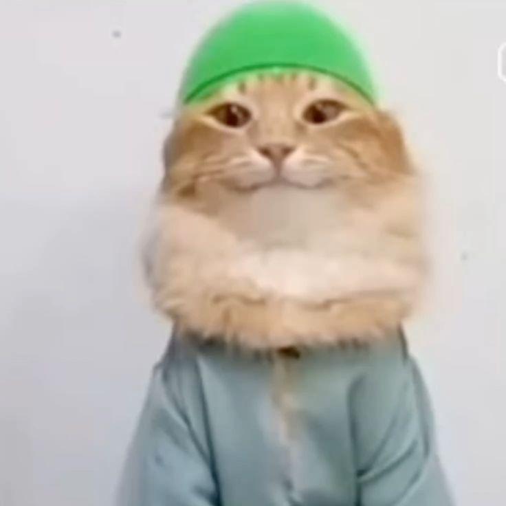 shakkurr avatar