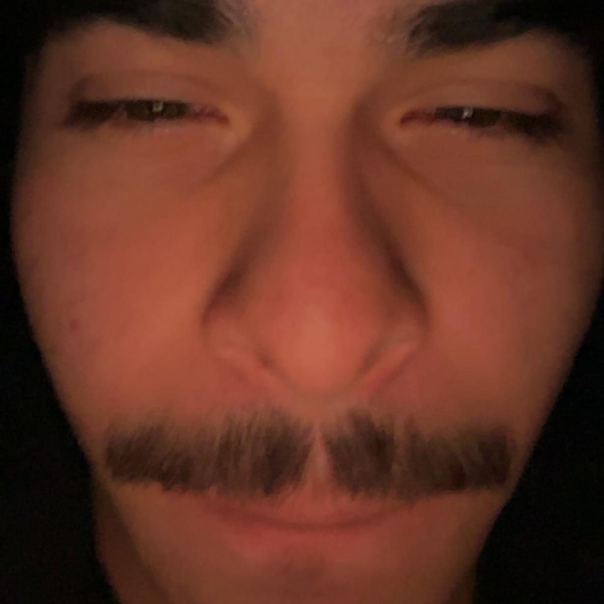 BryanMF avatar