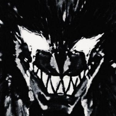 scamnowayout avatar