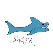 SharkTV2k avatar