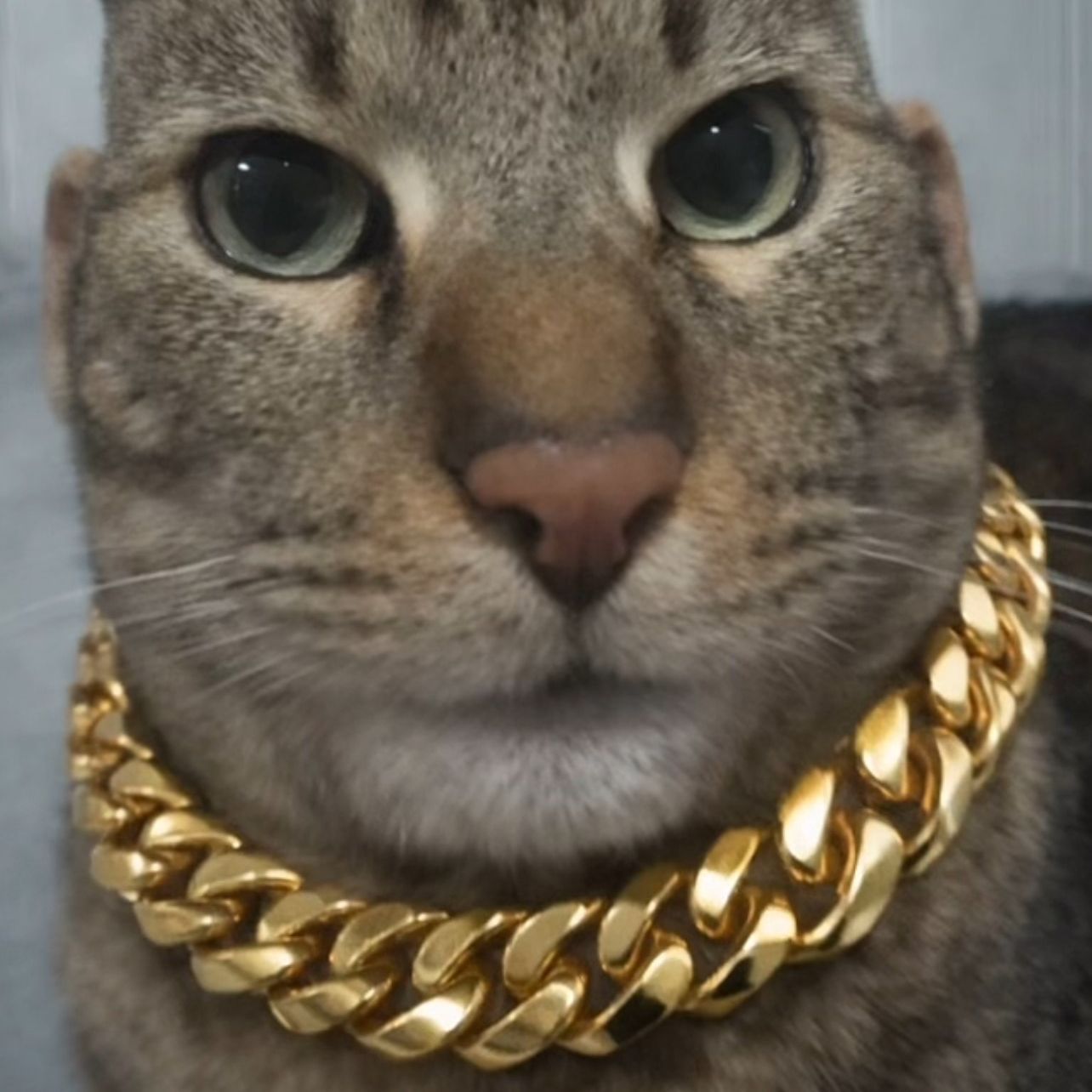 aQWegrt