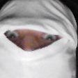 sheluvskalin avatar