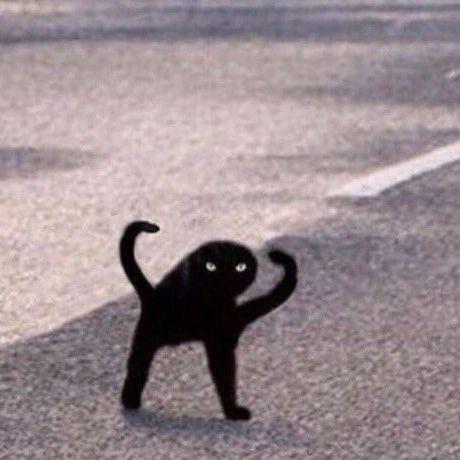 MinaLavey avatar