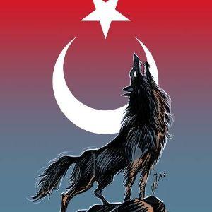 cCcCTURKcCc avatar