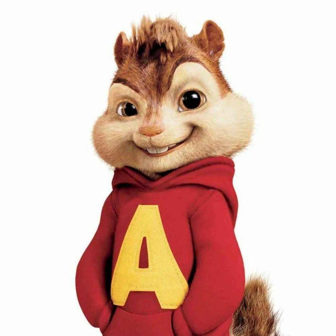 DumbChipmunk avatar