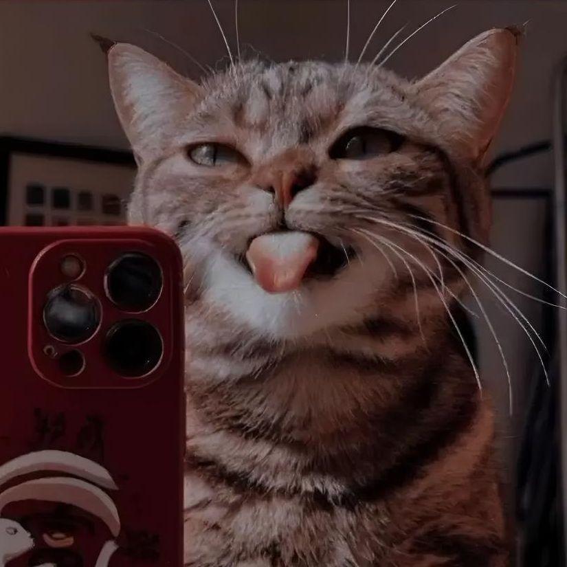 _Dembowy_ avatar