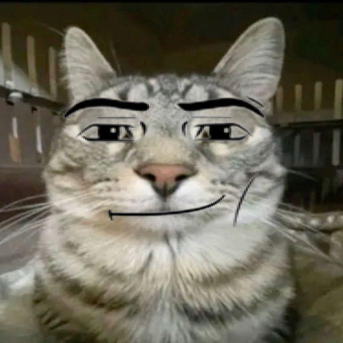 Shulke avatar