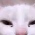 ebus_obak avatar