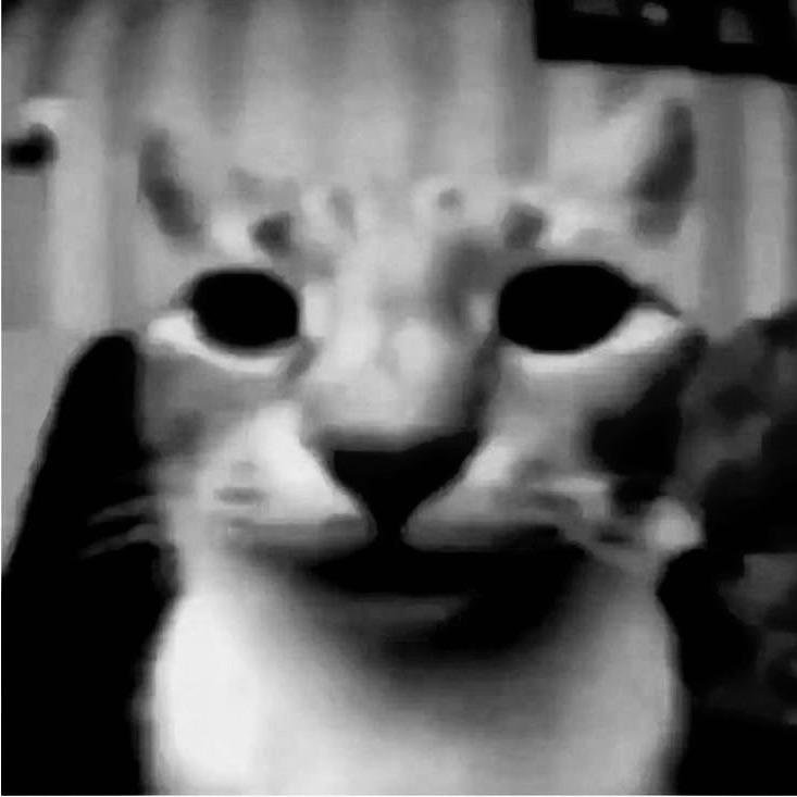 9re4a avatar