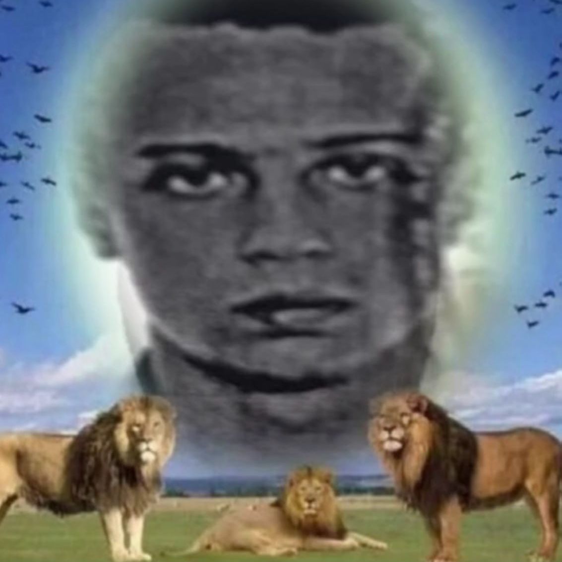 07 Bogki