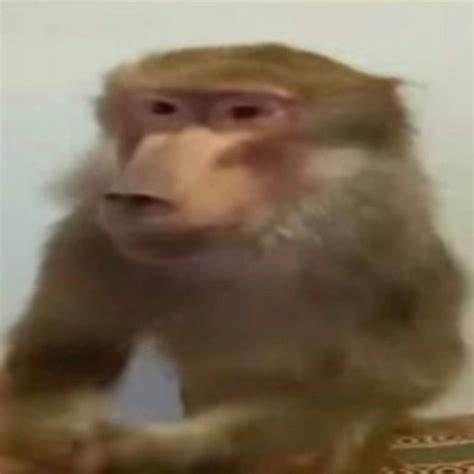 jasem31 avatar